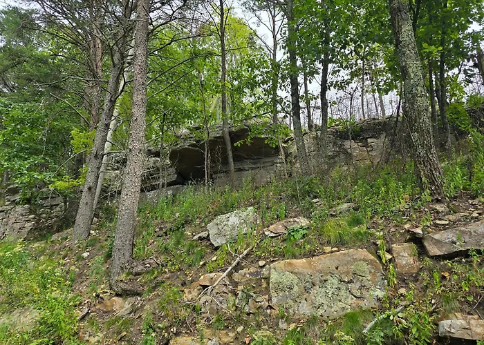Lula Lake Cabin